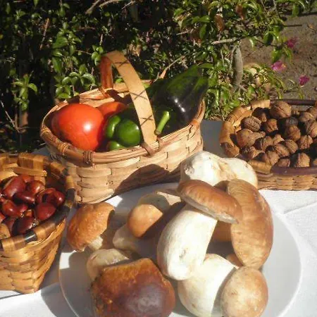 Restaurante Marroncín *